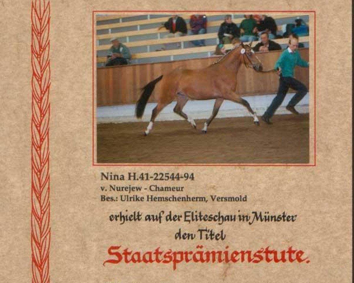 broodmare Nina (Westphalian, 1994, from Nurejew)