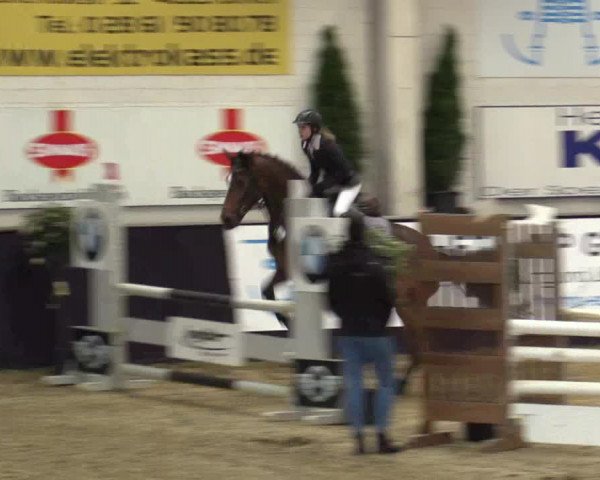 Reitturnier Borken 2016