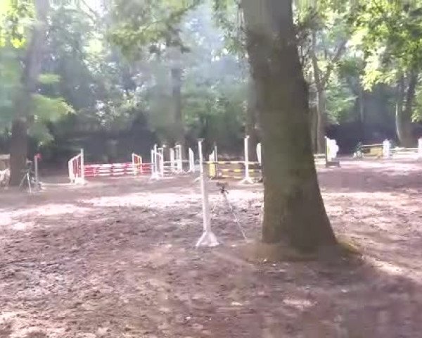 Video von Catinka