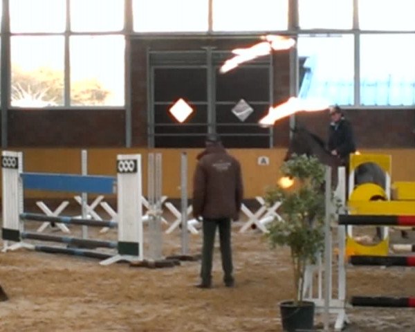 Video of Codo Carinjo N