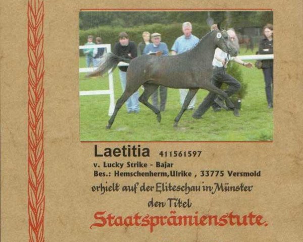 Pferd Letitia (Deutsches Reitpony,  , von Lucky Strike)