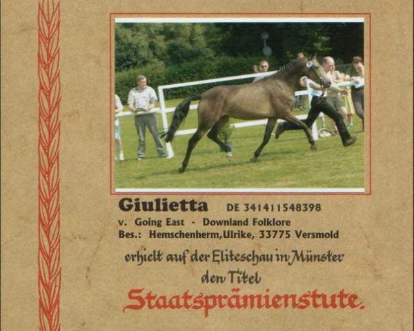 broodmare Giulietta (German Riding Pony, 1998, from Going East)