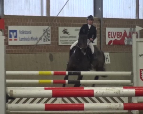 Reitturnier Lembeck 2016