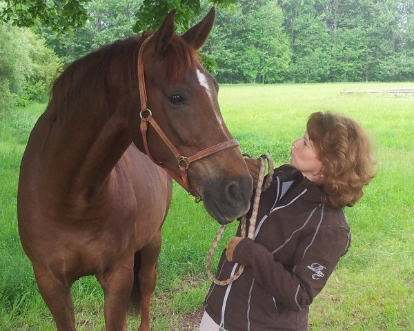 horse Rasputin (Bavarian, 2003, from Rosso di Sera)
