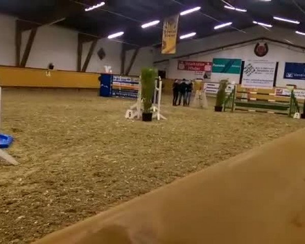 Video of Consuelo 2