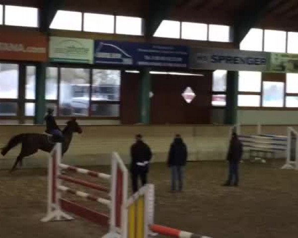 Video of Ce La Vie 3