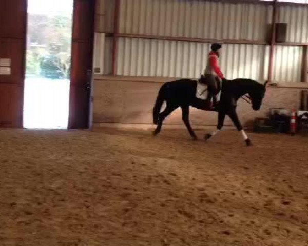 Video of Diva