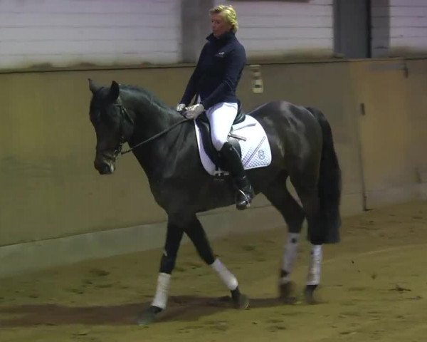 Video of Lauck's Locke