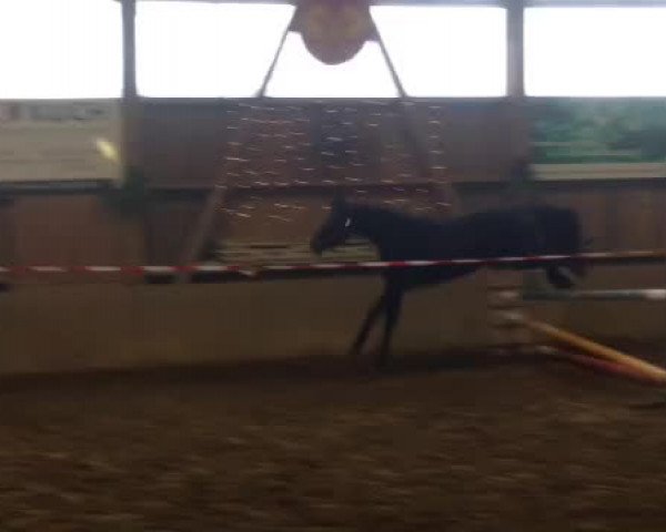 Video of Galaya la Silla