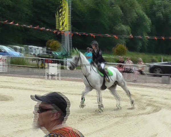 Video of Taktyk