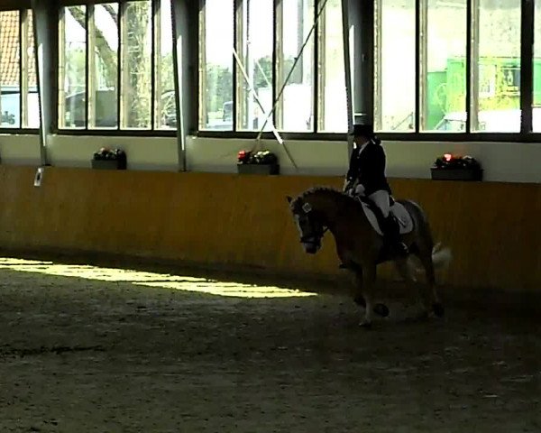 Video of Fosko 2