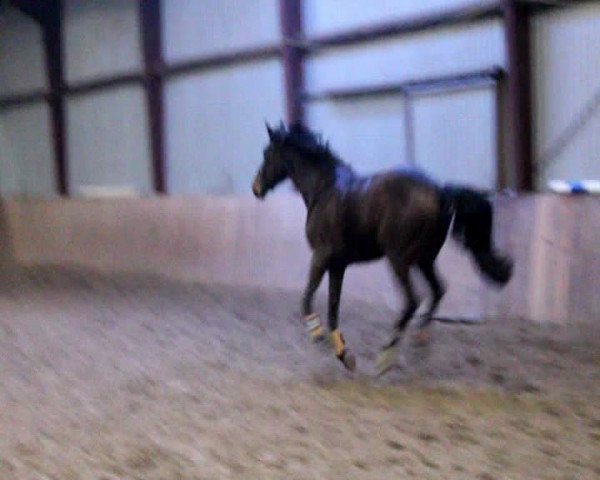 Video of Constantin v.Wartenberg