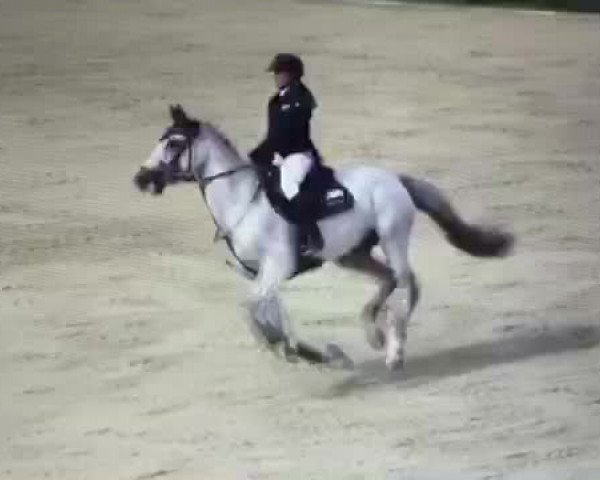 Video von Cessina 3