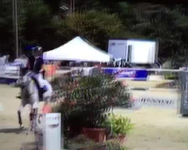 Video von Cessina 3