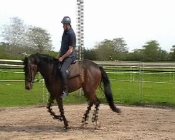 Video of Constantin v.Wartenberg