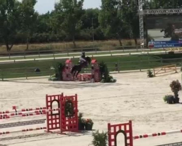 Video of Rienne VA Plus 2