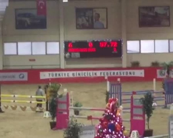 Video of Rienne VA Plus 2
