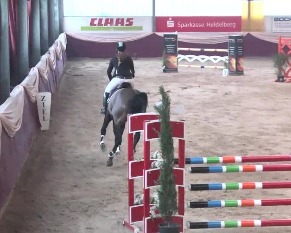 Reitturnier Eppelheim 2016