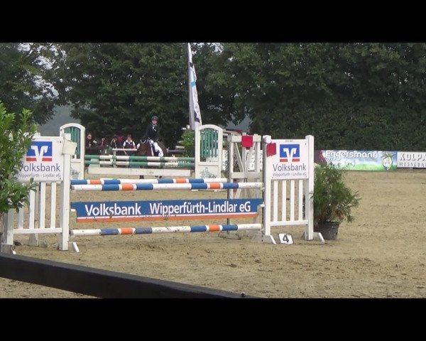 Video von Geralja's Undercover