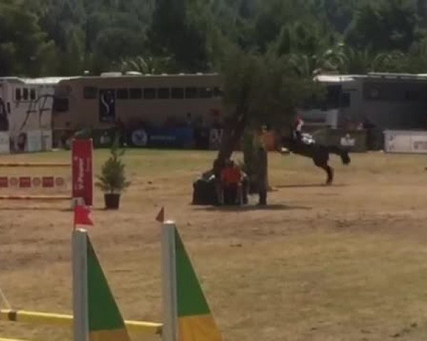 Video of Rienne VA Plus 2