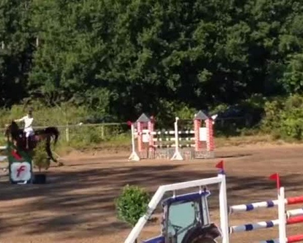 Video of Raschida 7