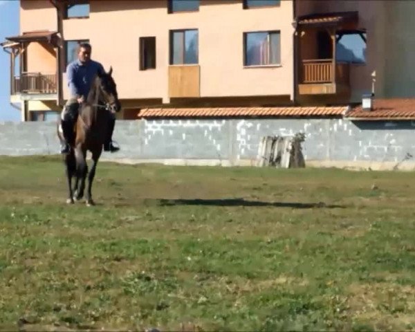 Video of Belent