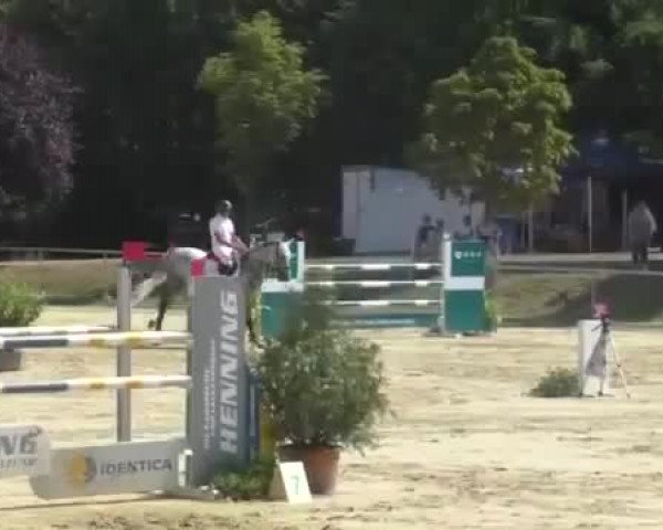 Reitturnier Oberderdingen 2015