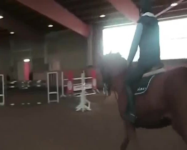Video von Filippus