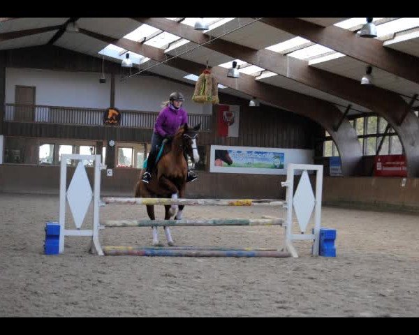Video of Quirina