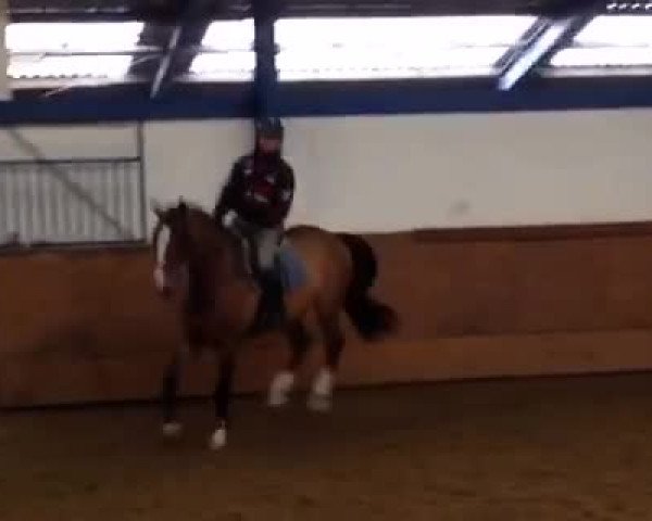 Video of Herr von Bödefeld 3