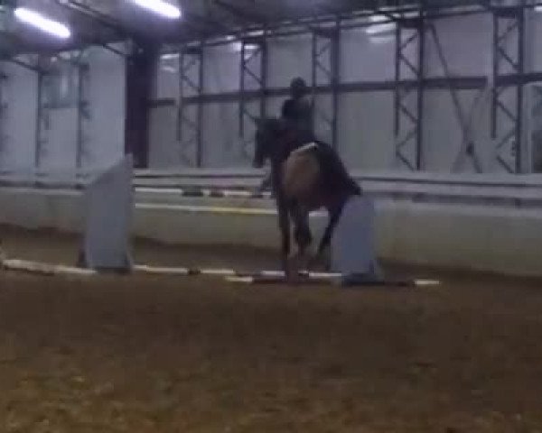 Video of Herr von Bödefeld 3