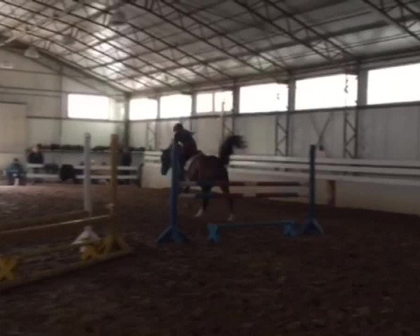 Video of Herr von Bödefeld 3