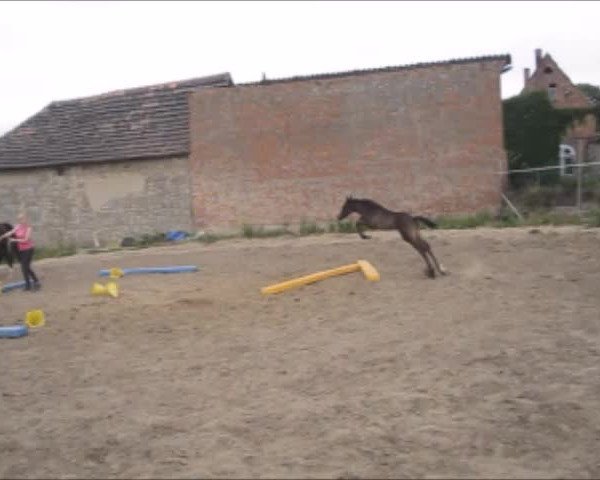 Video of Easy Touch