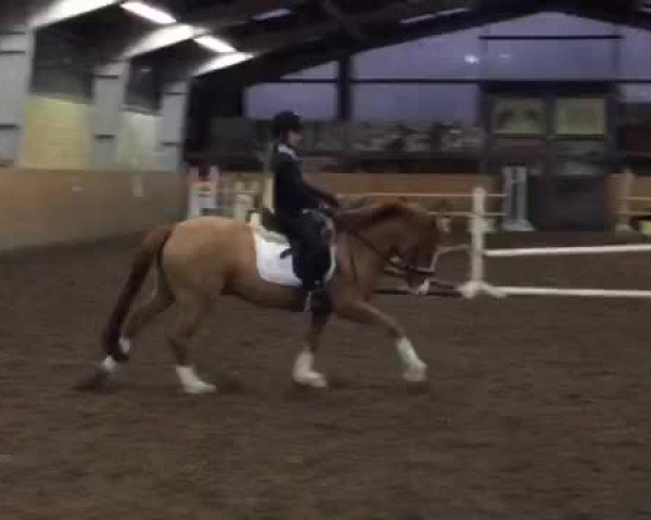 Video of Caspar Corlani