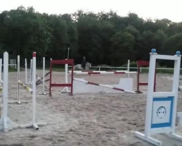 Video of Quinta