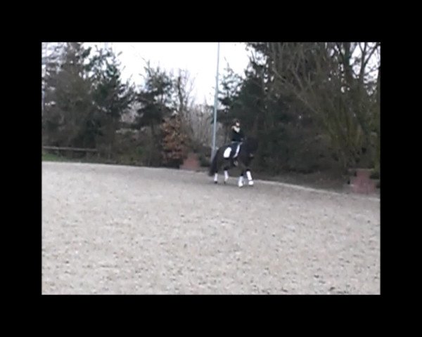 Video of double-oseven