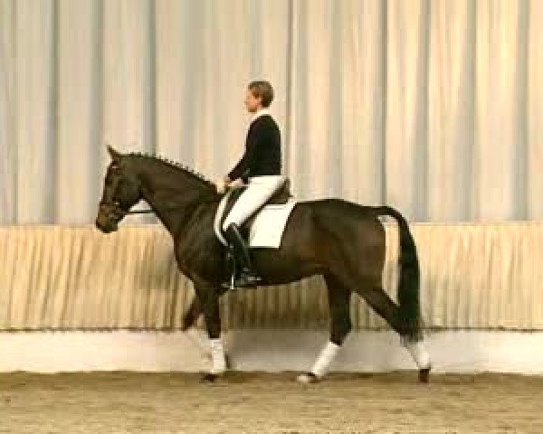 Video of Matheo 3