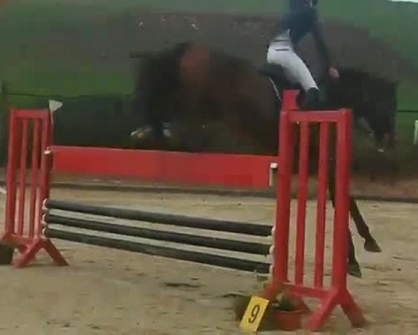 Video of Larry 180