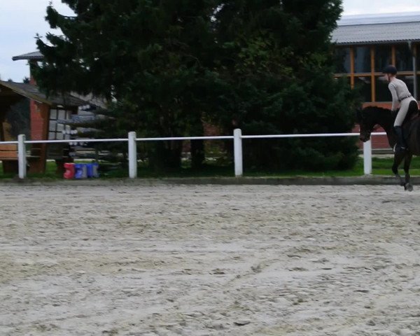 Video von Rubina Fleur