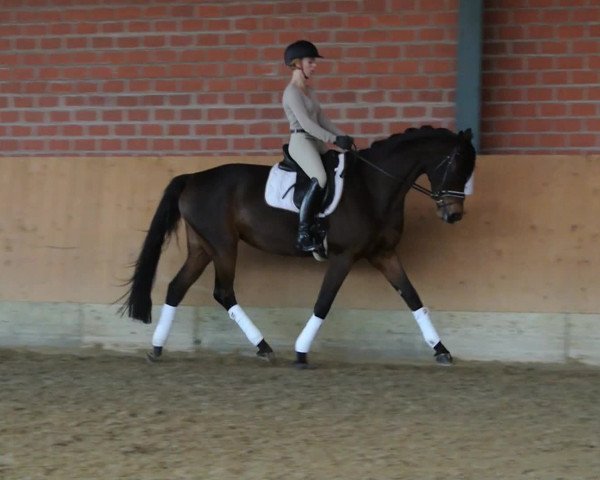 Video von Rubina Fleur