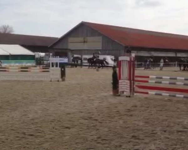 Video von Lapaloma 15