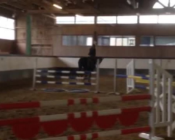 Video von Lapaloma 15