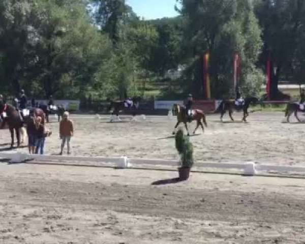Video of Sir Marshal