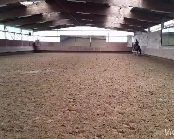 Video of Camira