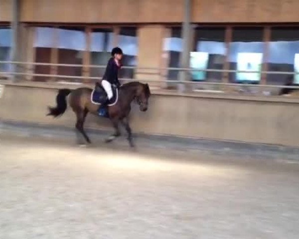 Video of Nuomi B