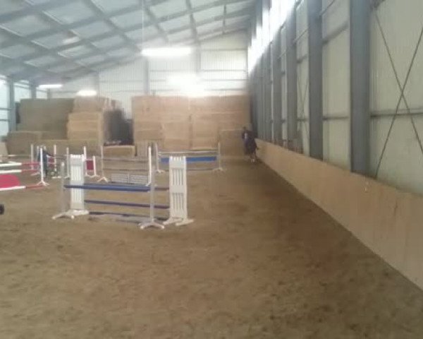 Video of Qualivo