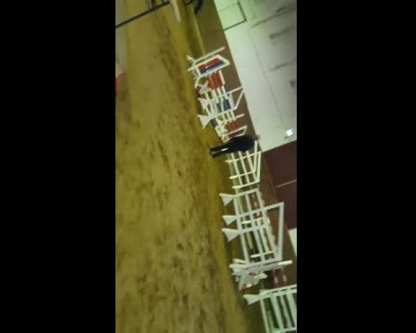 Video of Graziosa 12