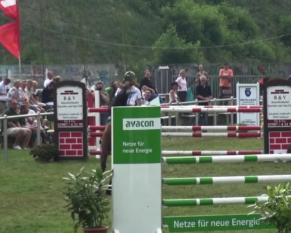 Reitturnier Gardelegen 2015