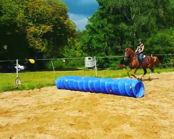 Video von Don Beppino