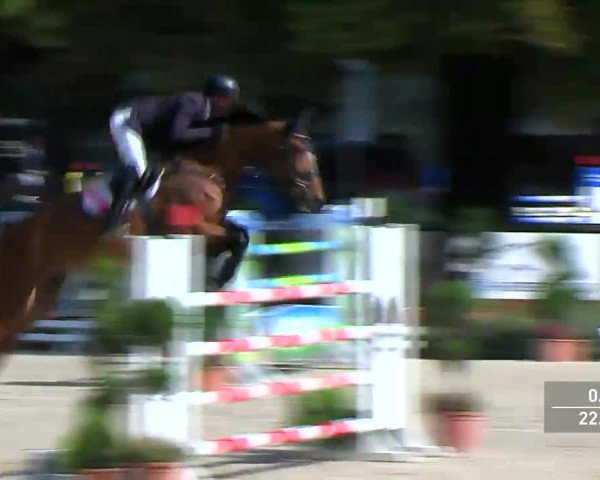 Video of Bien Aimee de la Lionne